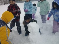 20250207_雪遊び1.JPG